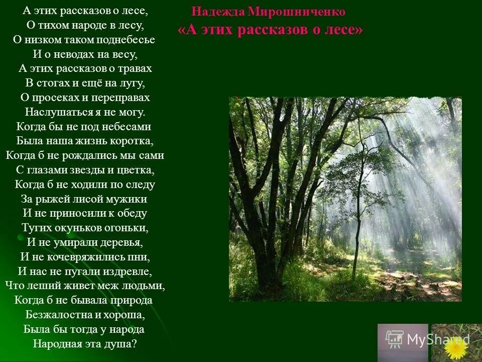 написать сочинение повествование. если хочешь найти душу леса сочинение. если хочешь найти душу леса сочинение. если хочешь найти душу леса сочинение. если хочешь найти душу леса сочинение.