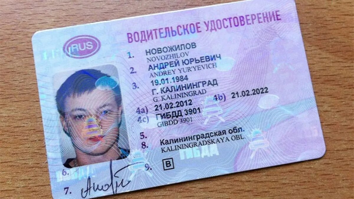 Ву организации. Ву организации
