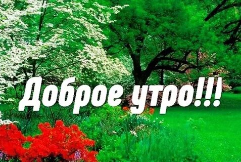 Тик ток доброе утро среда