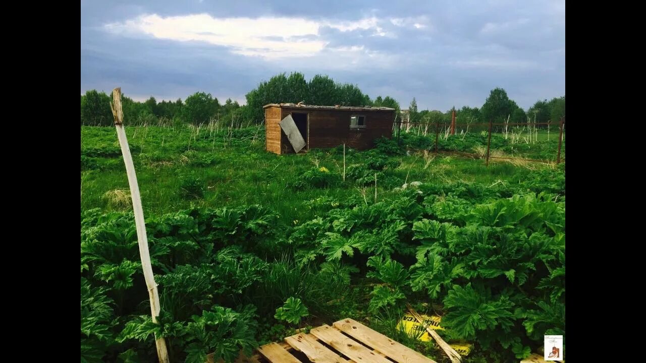 Деревня ольхово. Клин решоткино улица полевая д 4. Погода в решоткино. Клин решоткино родничок 1. Деревня решоткино.