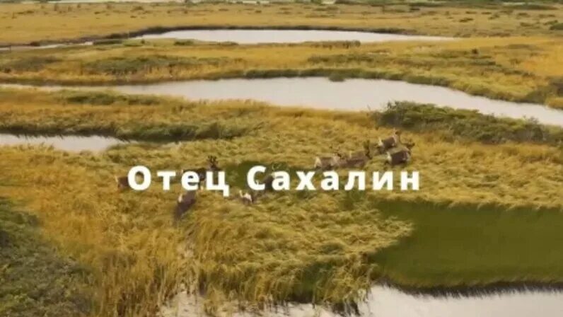 Покажи про сахалин. Остров сахалин. Остров сахалин снимок со спутника. Презентация сахалин. Покажи про сахалин.
