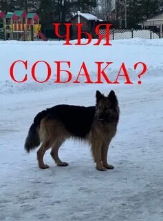 Никак н
