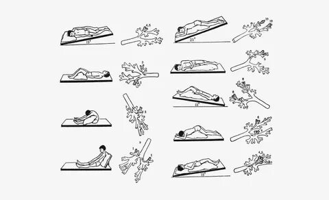 Жақында секс hd