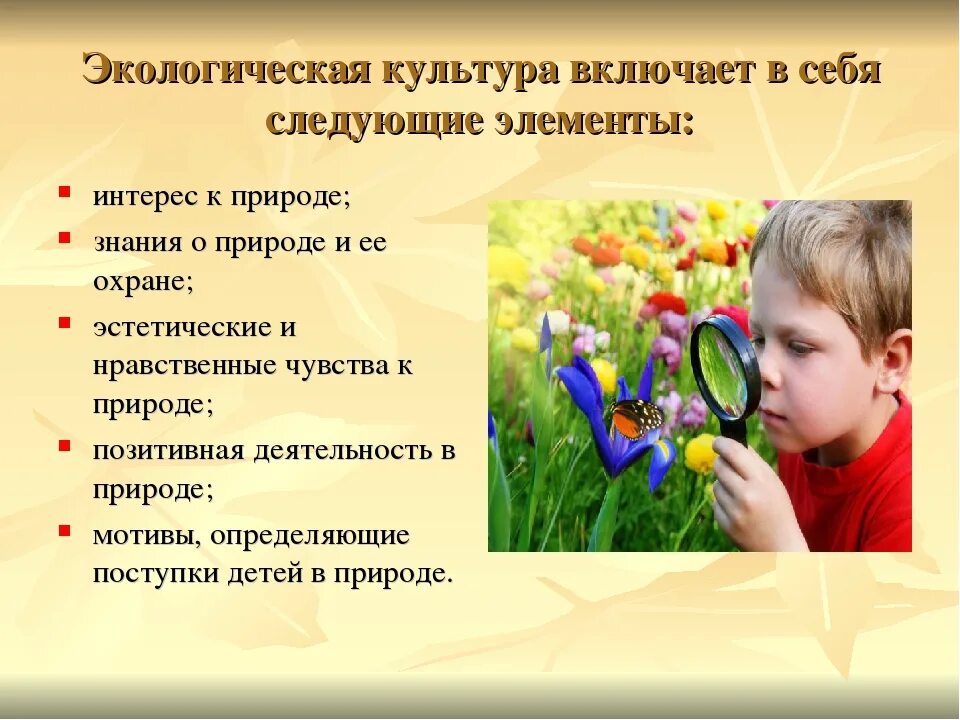 Почему важно быть наблюдательным