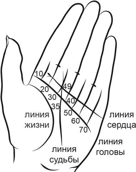 Линия жизни. Линия жизни на руке. Хиромантия по руке линия жизни. Возраст на линиях руки.