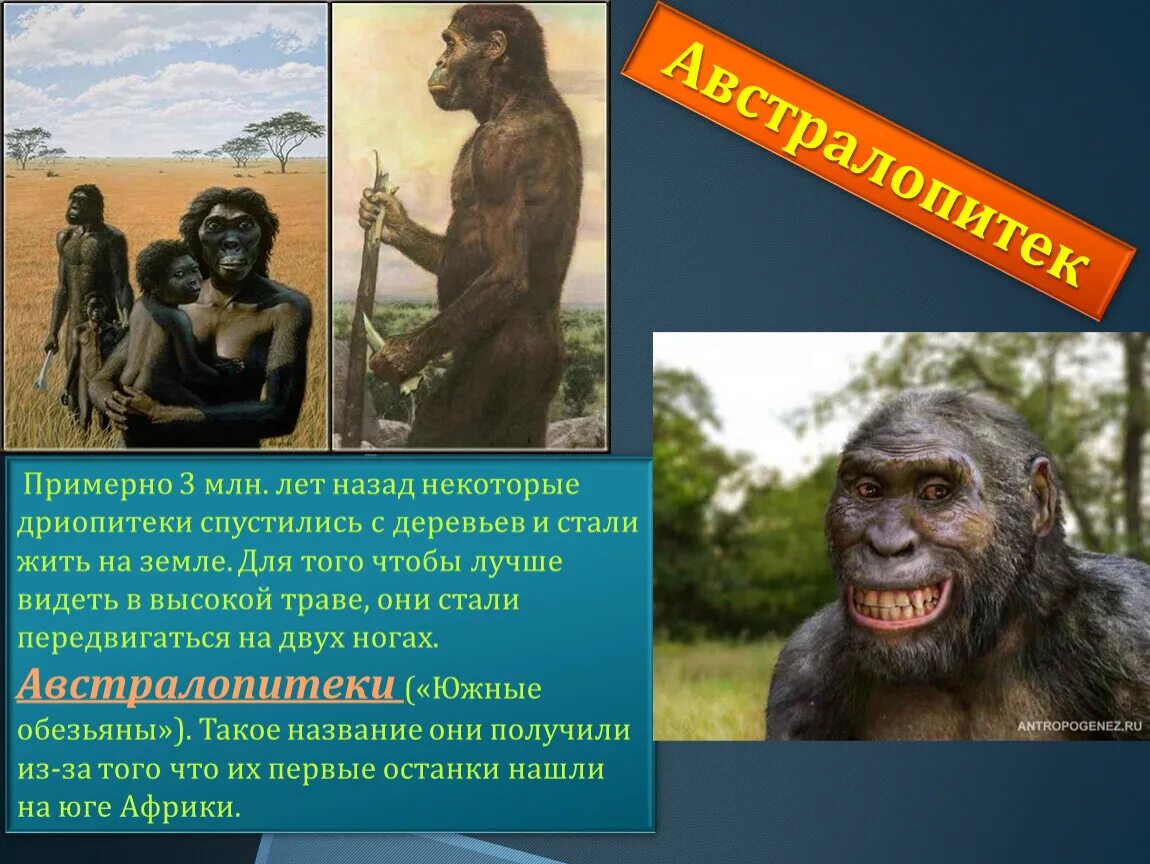 Человек 1 млн лет назад. Как появился человек. Как появился человек на земле. Как появился первый человек. Человек как человек появился на земле.