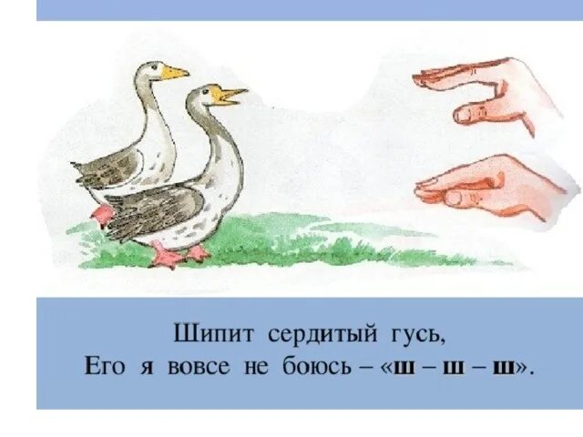 Звук гуся слушать