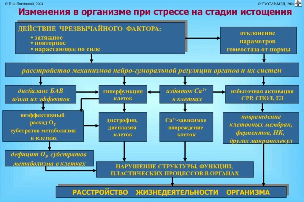 Изменения в организме при стрессе. Однотипные изменения в организме при стрессе. Изменения в организме при стадии истощения стресса. Перечислите изменения в организме при стрессе.