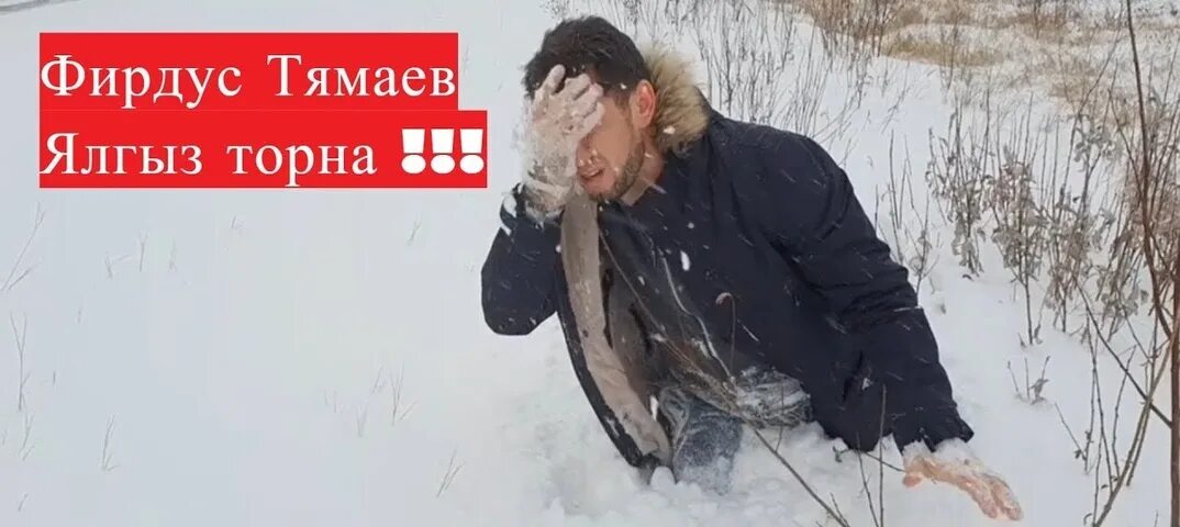 Тямаев ялгыз торна слова. Тямаев ялгыз торна слова. Песня ялгыз торна. Уникс казань фирдус тямаев. Мин бит ялгыз торна.