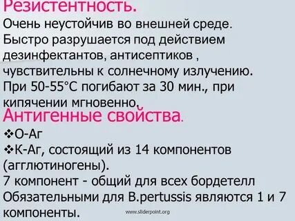 Коклюш вирус или бактерия