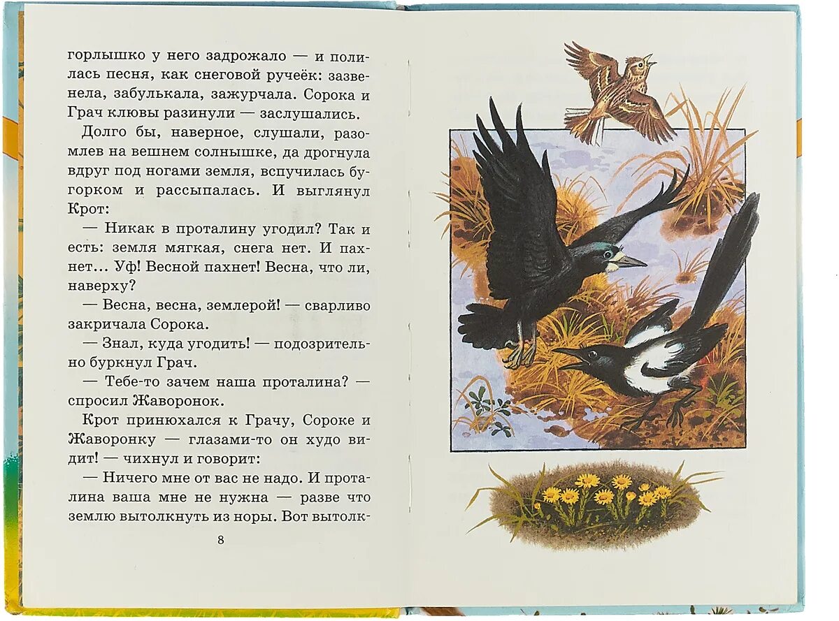 Тексты рассказов сладкова. Произведения н Сладкова. Чья проталина Сладков. Рассказы н Сладкова.