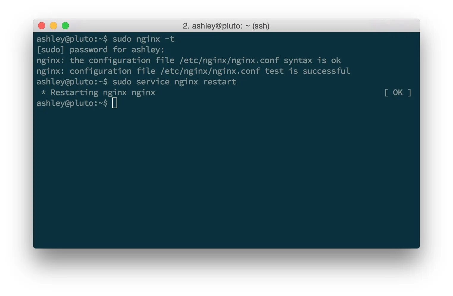 Job for nginx service failed