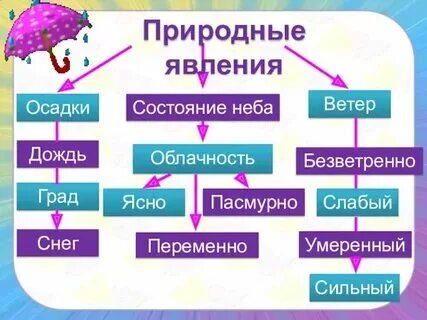 Примеры естественных тел 3 класс окружающий мир