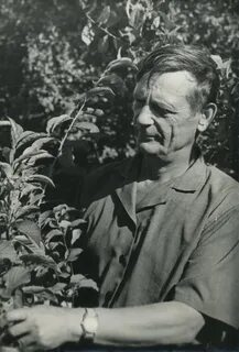 Селекционер