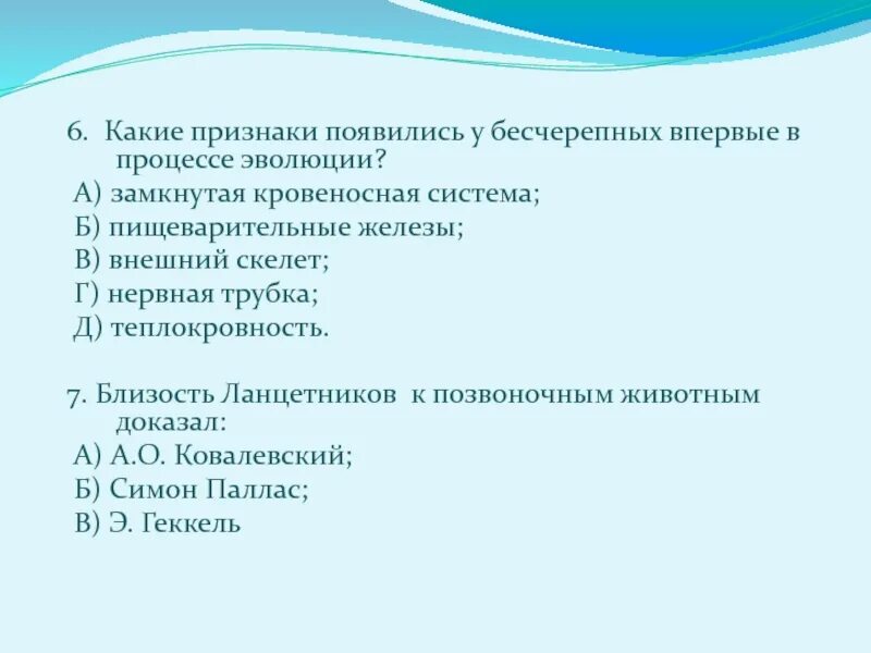 Последовательность появления типов животных в процессе эволюции. Признаки бесчерепных. кровеносная система бесчерепных. какие органы обеспечили развитие теплокровности в процессе эволюции. какие признаки характерны для бесчерепных.