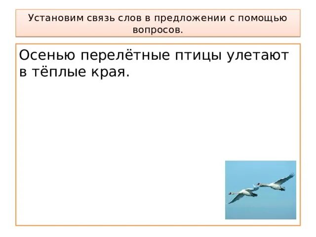 Связь слов с вопросами. Установить связь слов в предложении. Связь слов в предложении 2 класс. Установи связь слов в предложении. Взаимосвязь слов в предложении.