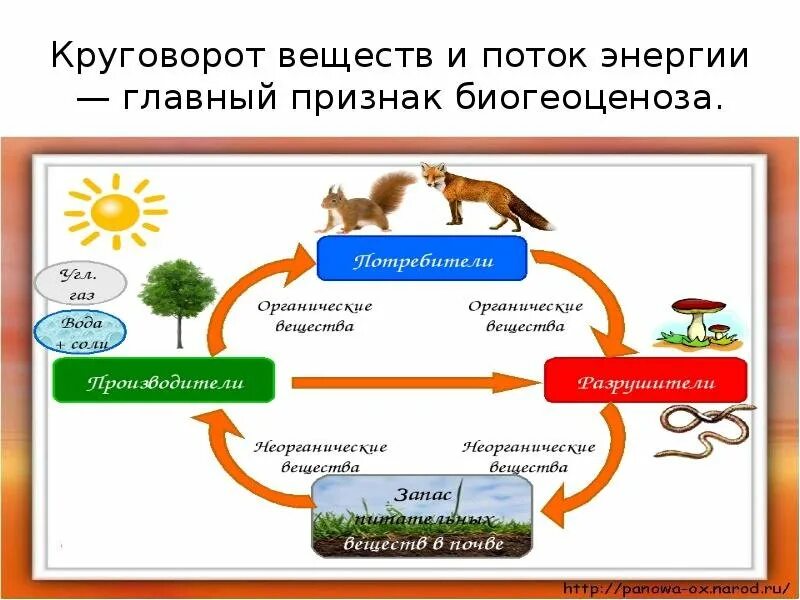 Круговорот это в биологии. Рисунок биологический круговорот в природе. Понятие круговорот веществ кратко. Модель круговорота веществ в природе 3 класс окружающий мир. Цепочка биологического круговорота веществ в природе.