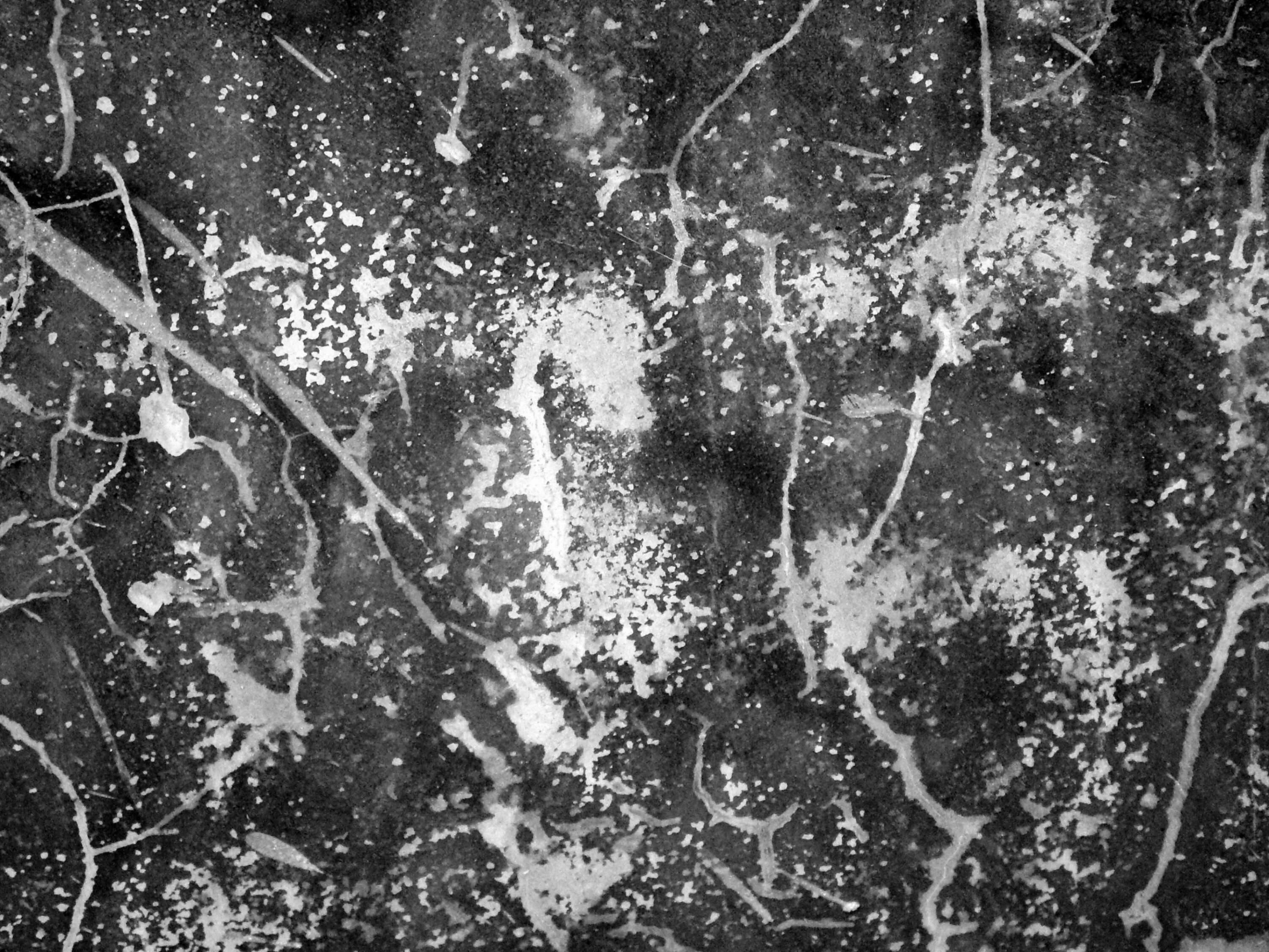 Old scratch. Old photo scratches.