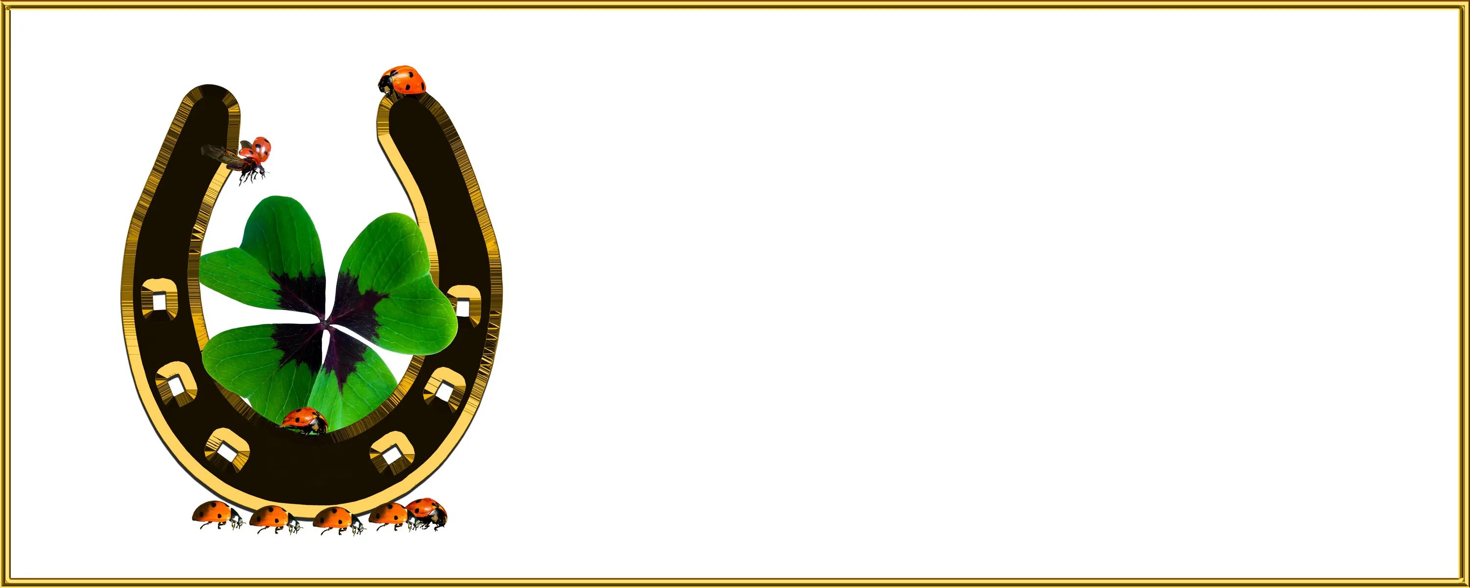 Удачи фф. Четырехлистный клевер с подковой. Символы удачи и успеха. Удачи картинки. Символ удачи и везения и богатства.