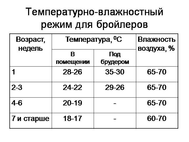 Таблица содержания бройлеров в брудере. Температура инкубации бройлера таблица. Температурная таблица для выращивания бройлеров. Температурный режим содержания цыплят бройлеров. При какой температуре можно цыплят