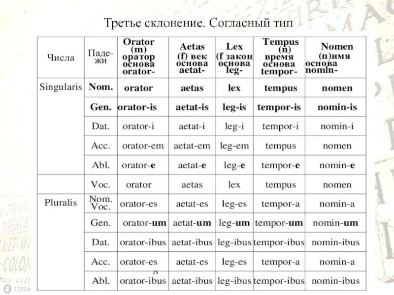 Латинские окончания слов. 3 Склонение согласный Тип латынь. Типы 3 склонения латынь. Склонение существительных 3 склонения латынь. Гласный Тип 3 склонение латынь.