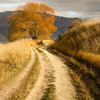 Country road