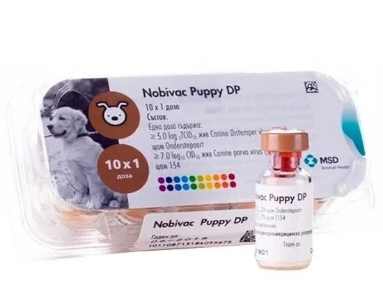 Вакцина Нобивак Puppy dp,. Нобивак Паппи для щенков. Нобивак для кошек. Фелоцел вакцина для кошек. Нобивак с бешенством для собак купить