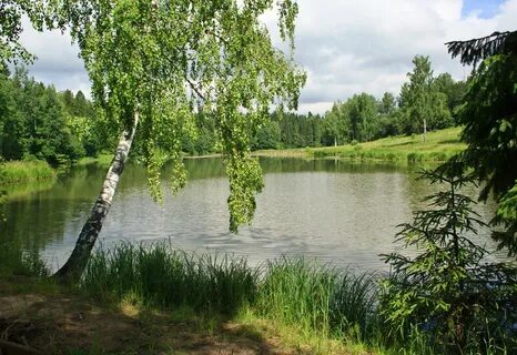 Абрамцево речка
