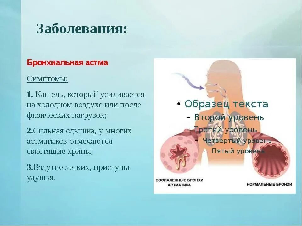 Почему ба. Бронхиальная астма симптомы. Признаки астмы. Бронхиальная астма симптомы у взрослых.