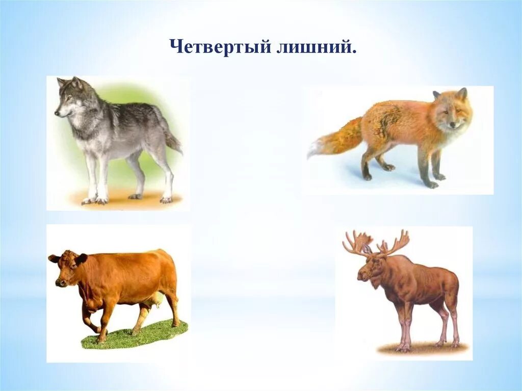 дикие и домашние животные. четвертый лишний дикие и домашние животные. дикие животные четвертый лишний для детей. четвертый лишний дикие животные. четвертый лишний дикие животные.