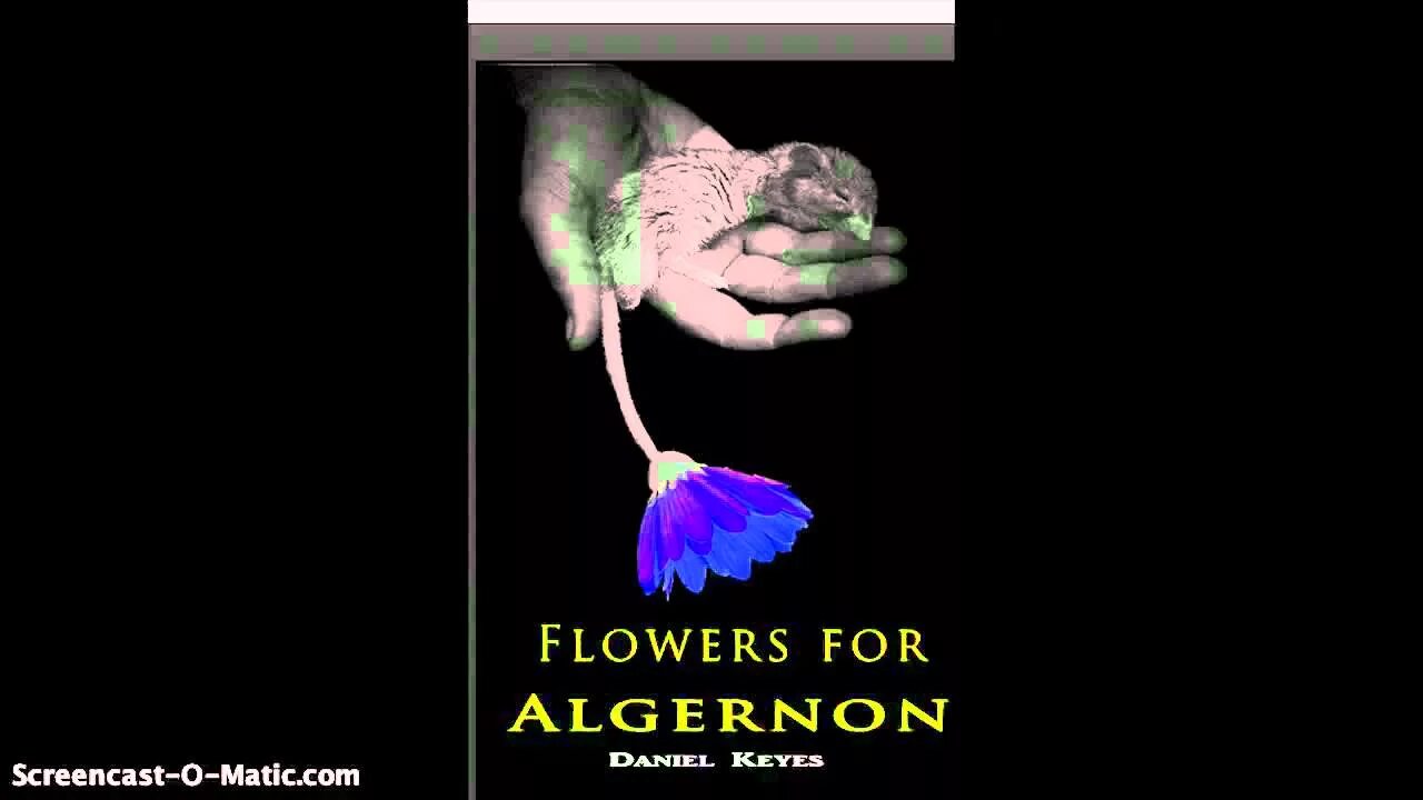 Элджернон чарли и я. Flowers for Algernon. Flowers for Algernon movie. Цветы для Элджернона на английском. Who write "Flowers for Algernon".