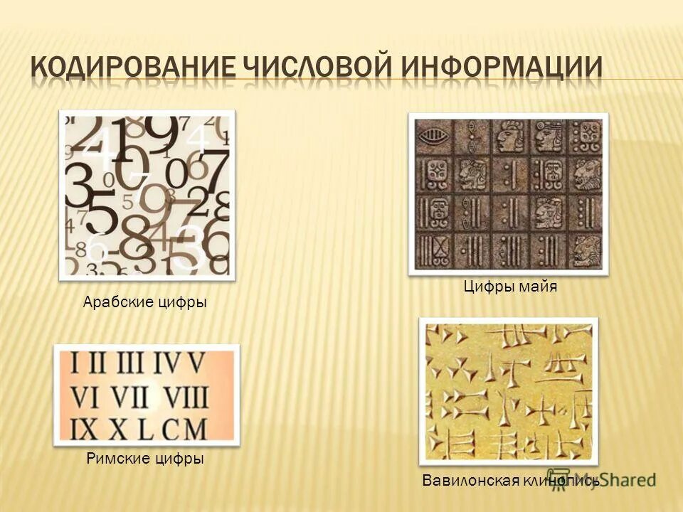 Кодирование перевод. Кодирование перевод