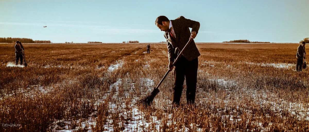 человеческий труд. люди в огороде. огромный трудиться. люди трудятся в саду. трудящийся человек.