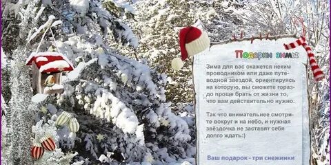 Тест зима