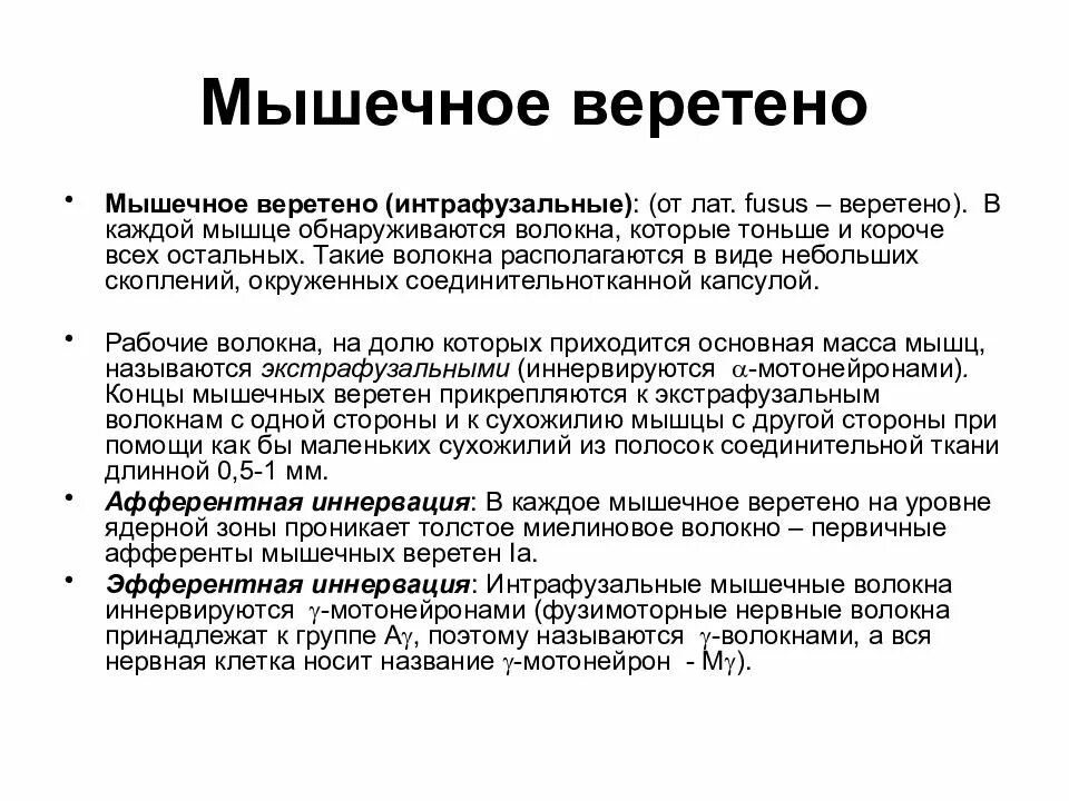 степени мышцы