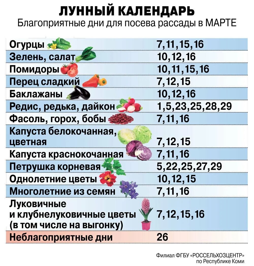 Даты посадки помидоров на рассаду в 2024