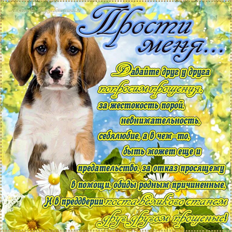 Сегодня прощеное воскресенье. С прощенным воскресеньем. прощенное воскресенье поздравления. прощеное воскресенье открытка. с прощенным воскресеньем поздравления открытки.