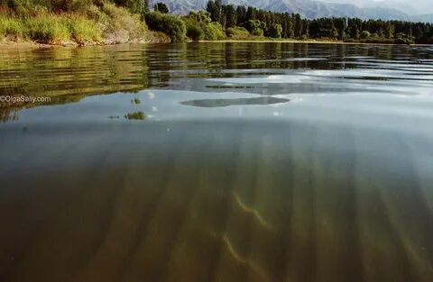 Вода сим