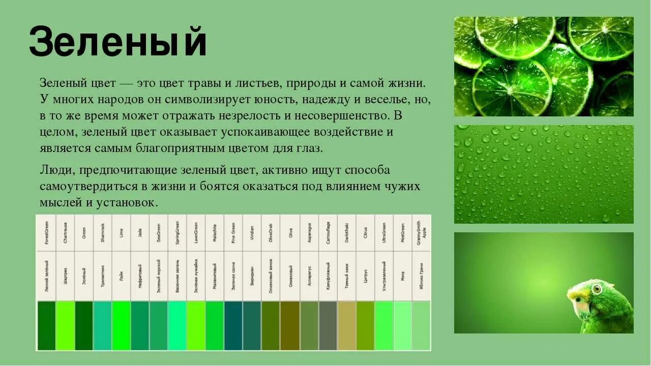 Зеленвйцвет в психологии. Салатовый цвет в психологии. Езелныц цвет в психологии. Зеленый цвет в психологии цветов.