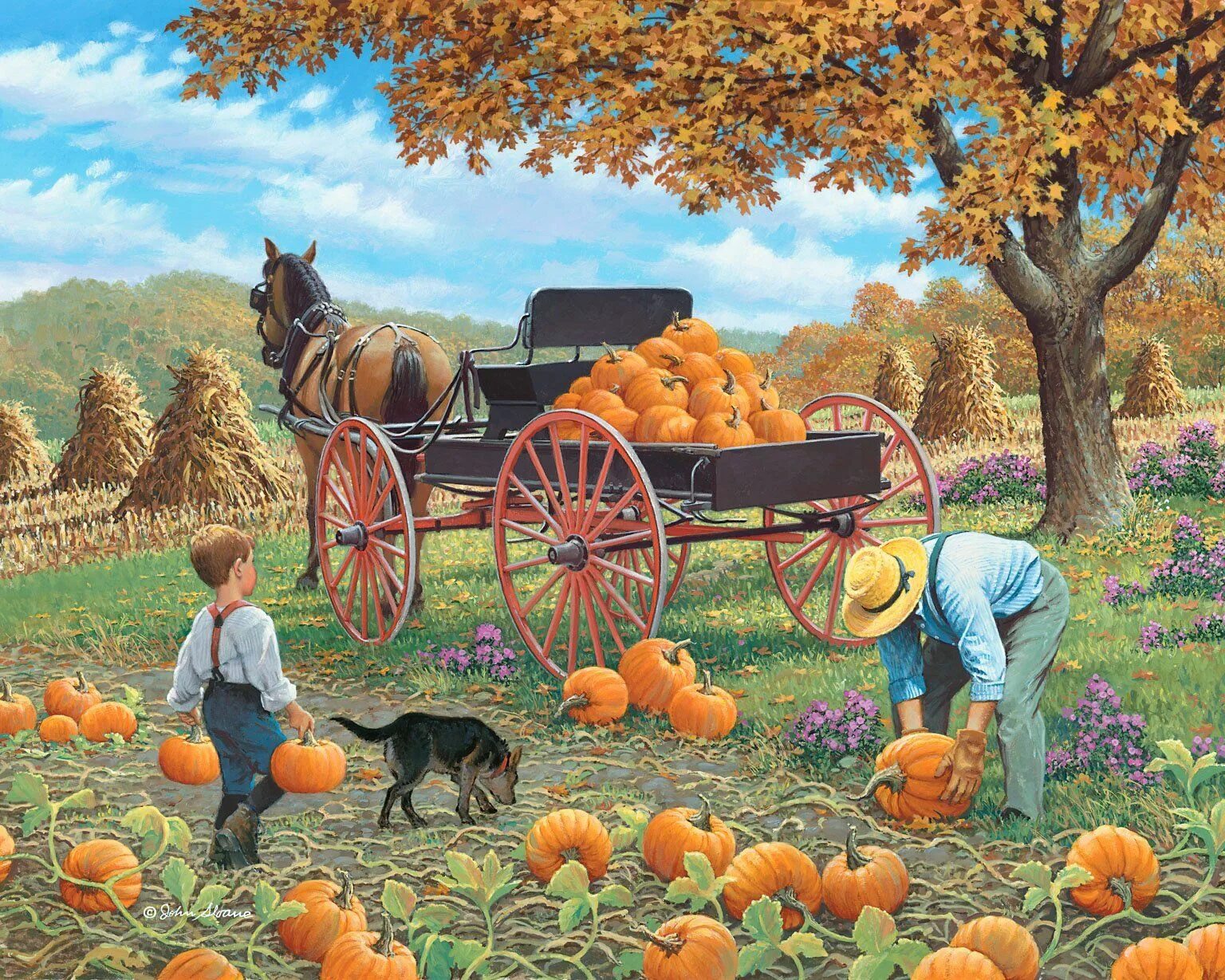 Working in the country