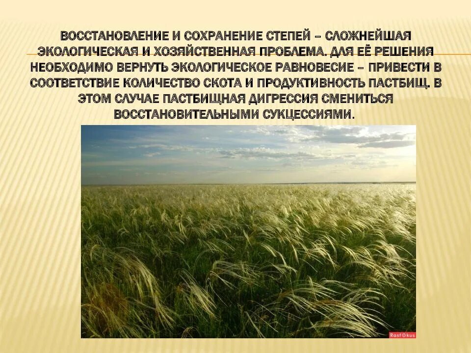 Экологические проблемы природно хозяйственных зон россии