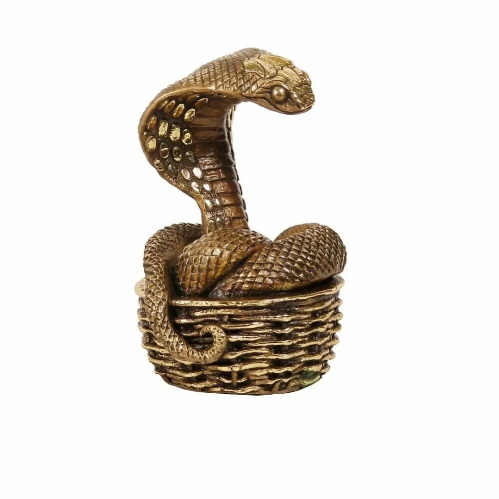 Брачный танец змей. Змея танцует. Брачные танцы животных. Змеи gif. Две змеи.