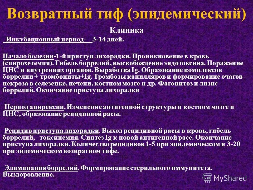 эндемический возвратный тиф источник инфекции. переносчики эпидемического возвратного тифа. клещевой возвратный тиф возбудитель. методы диагностики возвратного тифа. переносчик возбудителей клещевого возвратного тифа.