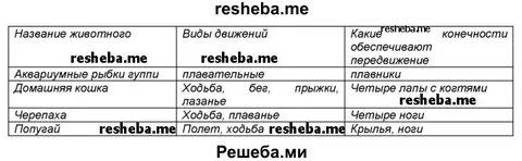 Сообщение на тему способы передвижения животных