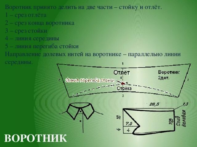 Срезы воротника. Стойка воротника срезы. Линии и срезы стойки воротника. Срезы Нижнего воротника. Жизнь и воротник тест с ответами