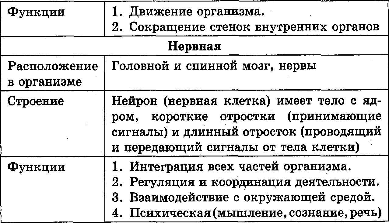 Организм человека - презентация к уроку Окружающий мир