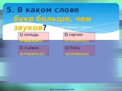Сколько звуков в слове сельдь