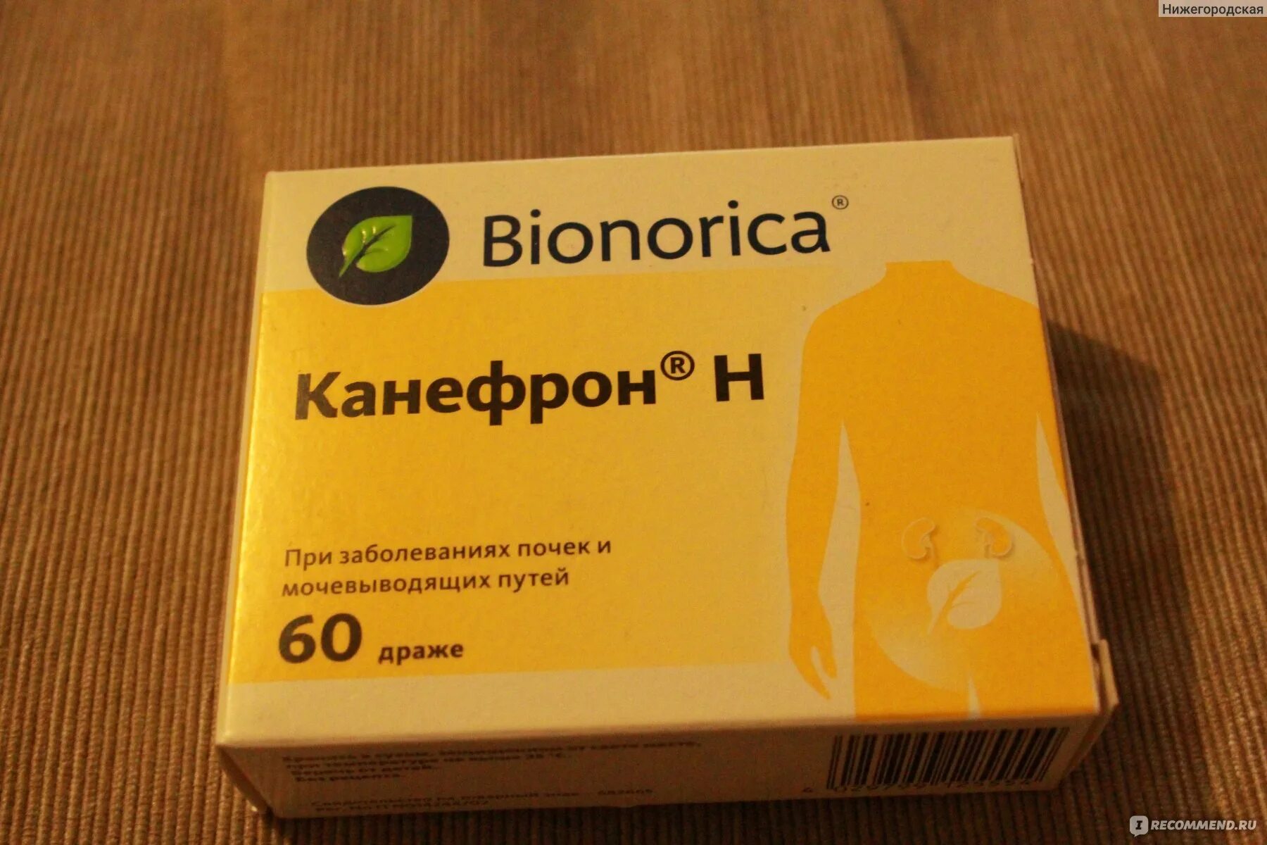 Bionorica канефрон. Канефрон н таб х60. Канефрон для беременных. Канефрон пачка лекарства.