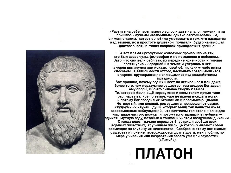 Платон диалоги читать. Диалог Тимей Платон. Платон Тимей и критий. Диалогах Платона «Тимей» и «критий». Тимей Платон книга.