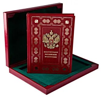 Новая народная конституция